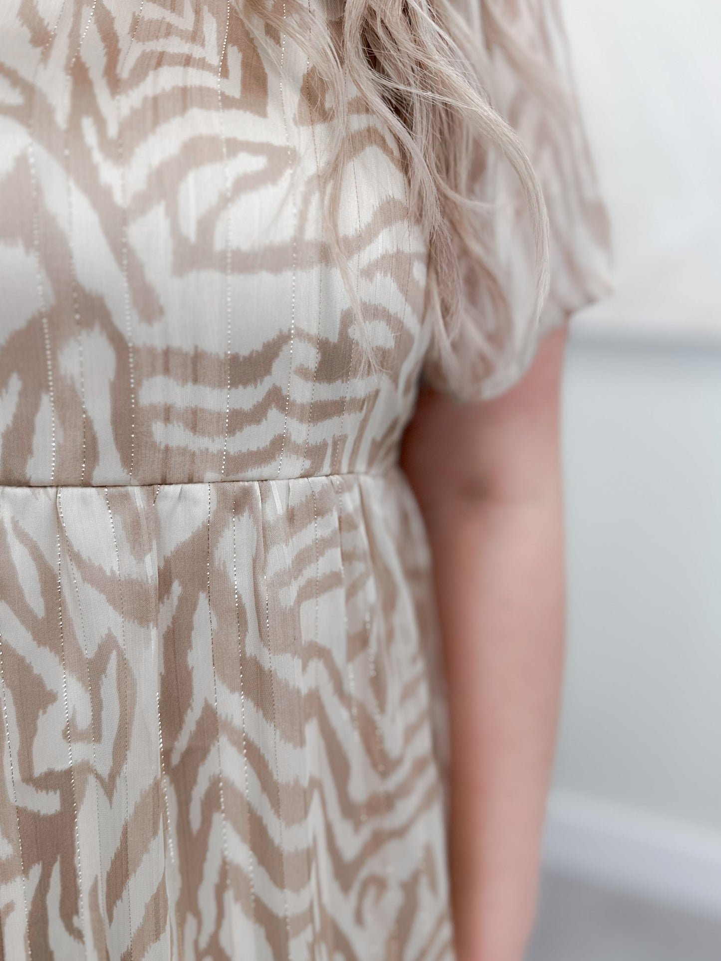 Briar Zebra Dress in Goldy Taupe